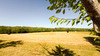 French property for sale in Châlus, Haute-Vienne - €246,100 - thumbnail 13