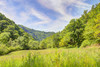 French property for sale in Tardets-Sorholus, Pyrénées-Atlantiques - €335,000 - thumbnail 9
