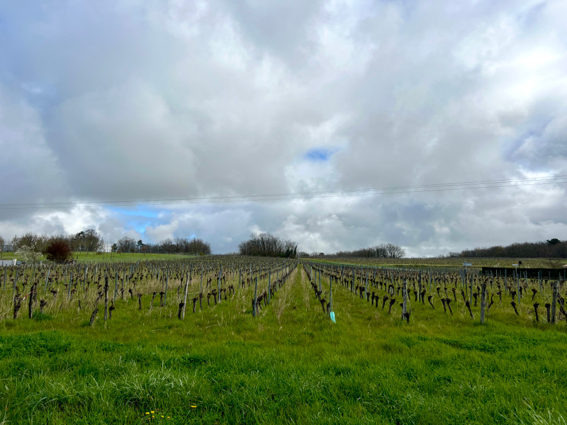 French property for sale in Monestier, Dordogne - €249,000 - photo 9