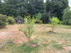 French property for sale in Saint-Priest-de-Gimel, Corrèze - €278,200 - thumbnail 9