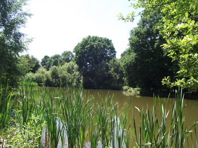 French property for sale in Lantillac, Morbihan - €125,350 - photo 2