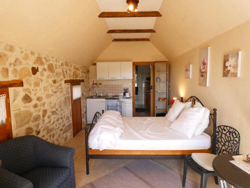French property for sale in Argentat-sur-Dordogne, Corrèze - €574,000 - photo 8