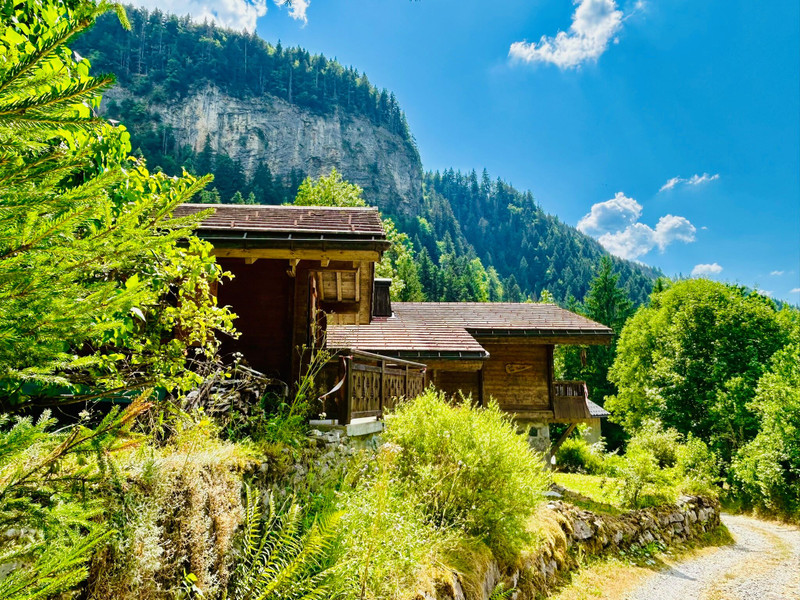 Ski property for sale in La Clusaz - €977,000 - photo 1
