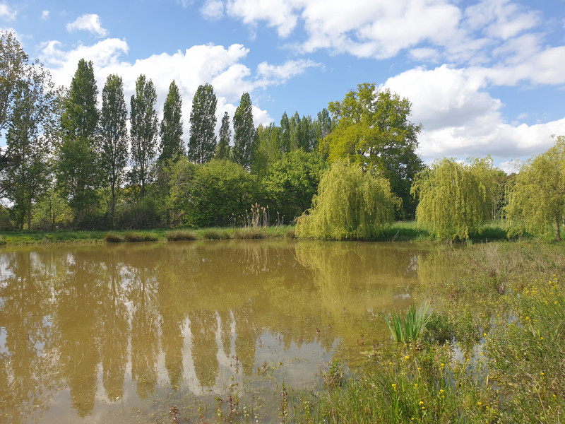 Lacs à vendre à Grez-en-Bouère, Mayenne - 88 000 € - photo 1