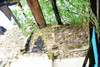 French property for sale in Saint-Paul-en-Gâtine, Deux-Sèvres - €19,000 - thumbnail 13