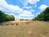 French property for sale in Saint-Julien-le-Vendômois, Corrèze - €295,000 - thumbnail 9
