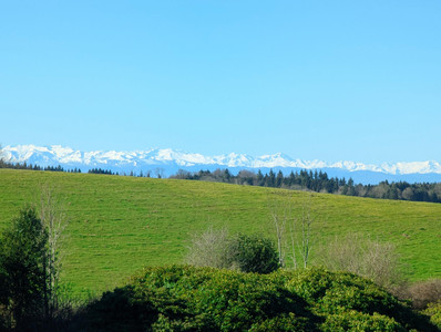 French property for sale in Sorèze, Tarn - €850,000 - photo 1