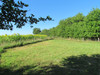 French property for sale in Mauprévoir, Vienne - €35,000 - thumbnail 9