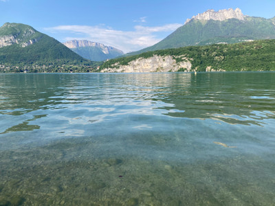 French property for sale in Annecy, Haute-Savoie - €499,000 - photo 4