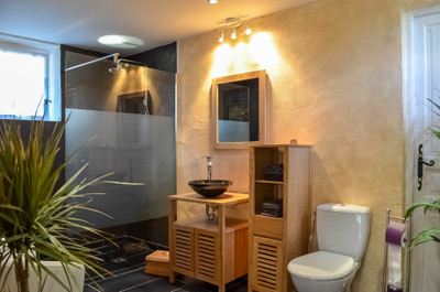 French property for sale in Les Eyzies, Dordogne - €795,000 - photo 6