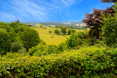 French property for sale in Montmoreau, Charente - €165,000 - photo 2