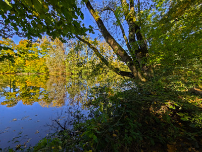French property for sale in Boulazac Isle Manoire, Dordogne - €299,750 - photo 1