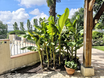 French property for sale in Bassoues, Gers - €340,000 - photo 4