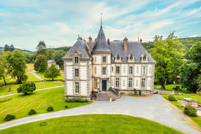 Stunning château set in well-kept, beautiful grounds, 4 floors, each 350m2
