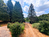French property for sale in Saint-Pierre-de-Frugie, Dordogne - €109,000 - thumbnail 14