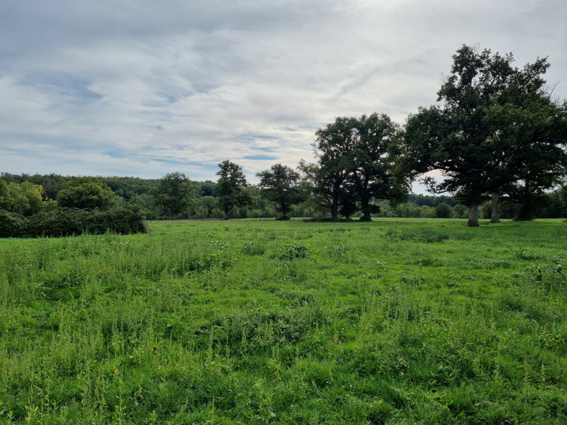 French property for sale in Montmorillon, Vienne - €795,000 - photo 5