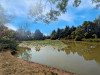 French property for sale in Les Châteliers, Deux-Sèvres - €71,600 - thumbnail 11