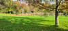 French property for sale in Chantonnay, Vendée - €636,000 - thumbnail 9