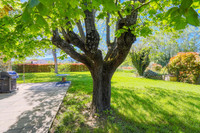 Maison à vendre à Gargas, Vaucluse - 375.000 € - photo 15
