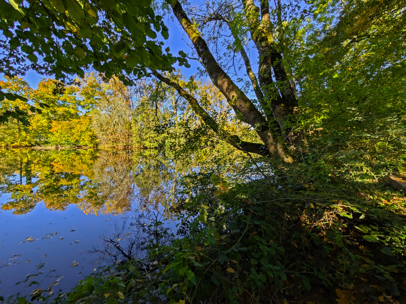 French property for sale in Boulazac Isle Manoire, Dordogne - €299,750 - photo 1