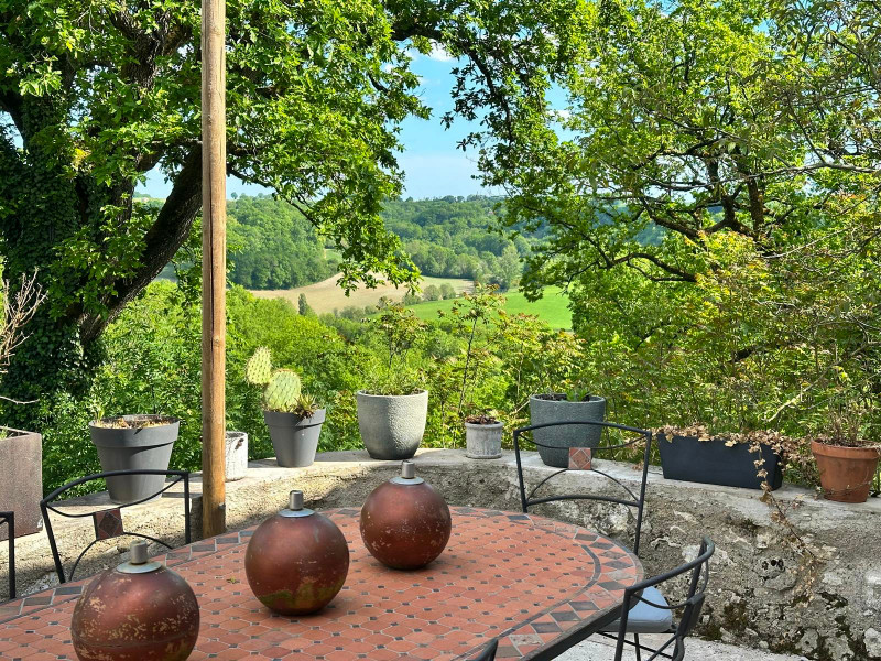 French property for sale in Saint-Beauzeil, Tarn-et-Garonne - €893,000 - photo 9