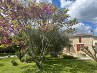 Maison à vendre à Castets et Castillon, Gironde - 490 000 € - photo 2