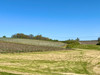 French property for sale in Singleyrac, Dordogne - €167,400 - thumbnail 9