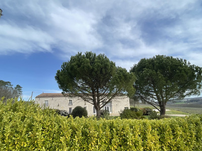 French property for sale in Eynesse, Gironde - €999,999 - photo 9