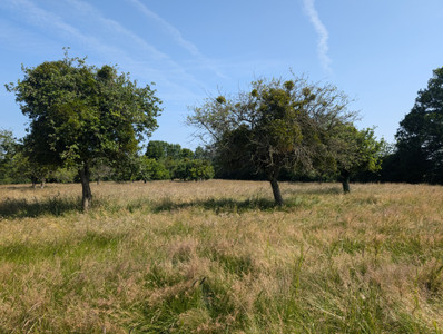 French property for sale in Saint-Mard-de-Réno, Orne - €1,050,000 - photo 8