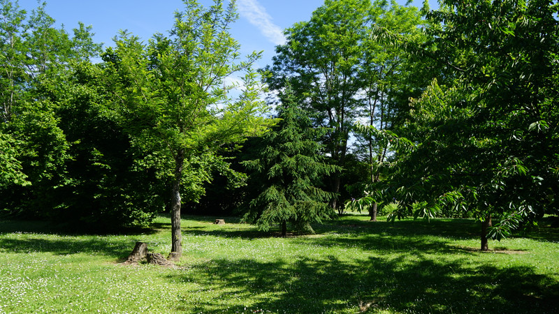 French property for sale in Monségur, Gironde - €290,000 - photo 4