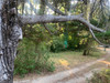 French property for sale in Callian, Var - €525,000 - thumbnail 10