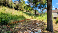 Maison à vendre à Saint-Pons-de-Thomières, Hérault - 190.000 € - photo 5
