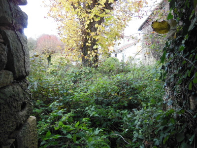 French property for sale in Lussac-les-Châteaux, Vienne - €17,000 - photo 14