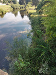 Terrain à vendre à Loyat, Morbihan - 78.820 € - photo 4
