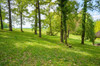 French property for sale in Bourlens, Lot-et-Garonne - €371,000 - thumbnail 9