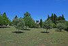 French property for sale in Carcassonne, Aude - €899,000 - thumbnail 14