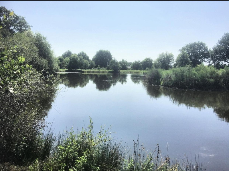 Lacs à vendre à Carbay, Maine-et-Loire - 88.888 € - photo 1