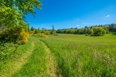 French property for sale in La Chapelle-Montbrandeix, Haute-Vienne - €452,600 - photo 9