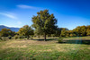 French property for sale in Laroque-des-Albères, Pyrénées-Orientales - €1,260,000 - thumbnail 14