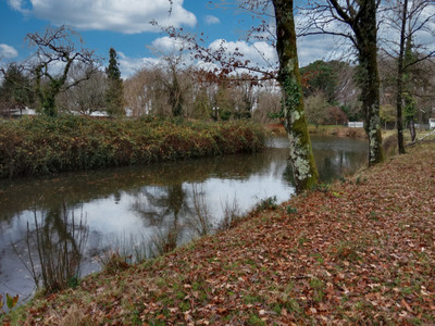 French property for sale in Chantonnay, Vendée - €636,000 - photo 6