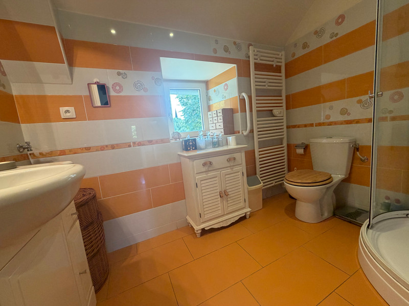 French property for sale in Madranges, Corrèze - €267,500 - photo 9