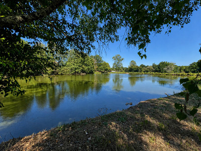 French property for sale in Les Salles-Lavauguyon, Haute-Vienne - €600,000 - photo 1