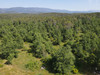 French property for sale in Fayence, Var - €1,250,000 - thumbnail 13