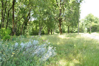 Maison à vendre à La Tour-Blanche-Cercles, Dordogne - 97.900 € - photo 10