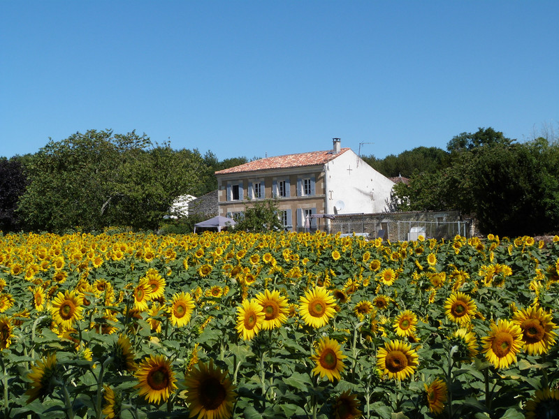 French property for sale in Nantillé, Charente-Maritime - &#8364;375,000 - photo 10