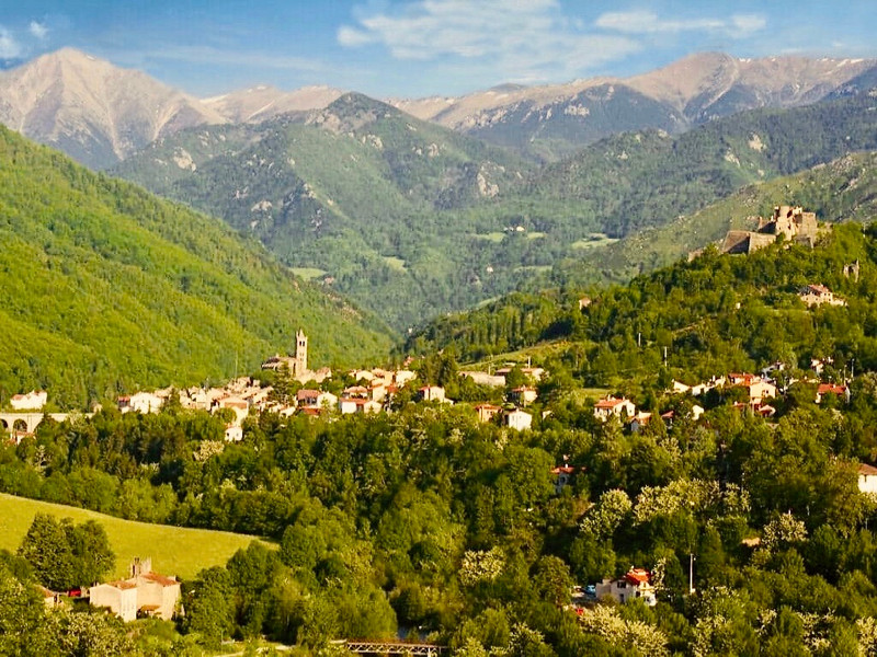 French property for sale in Prats-de-Mollo-la-Preste, Pyrénées-Orientales - &#8364;895,000 - photo 10