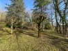 French property for sale in Cubjac, Dordogne - €127,200 - thumbnail 9