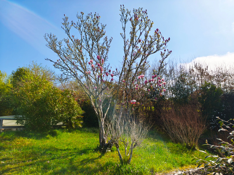 French property for sale in Mussidan, Dordogne - €381,600 - photo 1