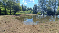 Lacs à vendre à Tinchebray-Bocage, Orne - 30.000 € - photo 5