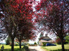 French property for sale in La Chapelle-Saint-Jean, Dordogne - €150,000 - thumbnail 14